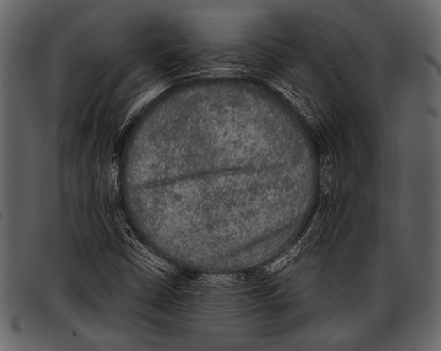 X0000097481402200803201459