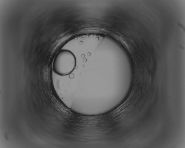 X0000097481404200803201459