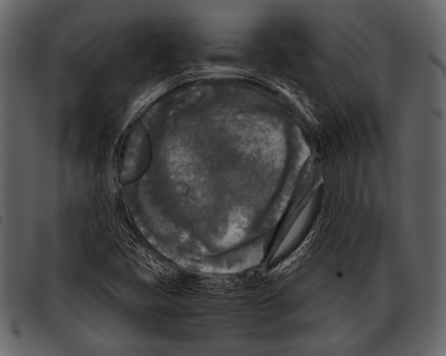 X0000097481405200803201459