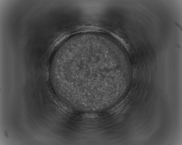 X0000097481407200803201459