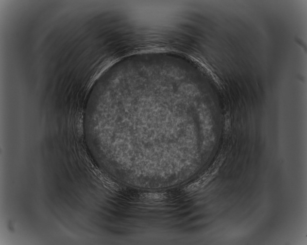 X0000097481409200803201459