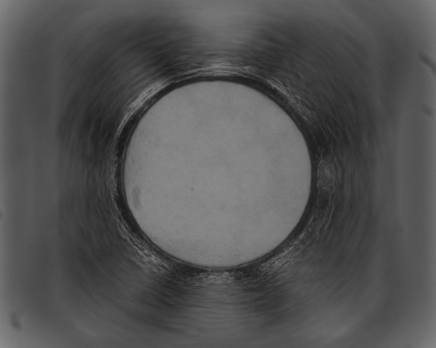 X0000097481410200803201459