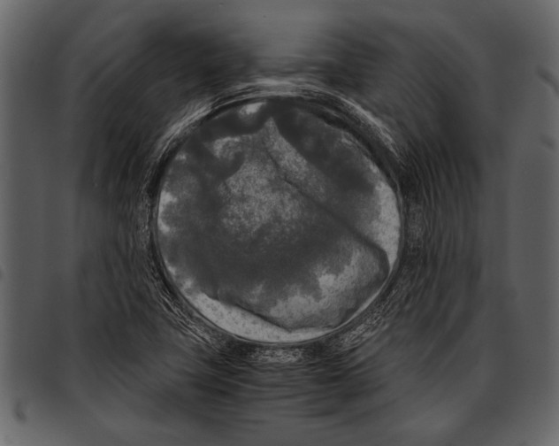 X0000097481411200803201459