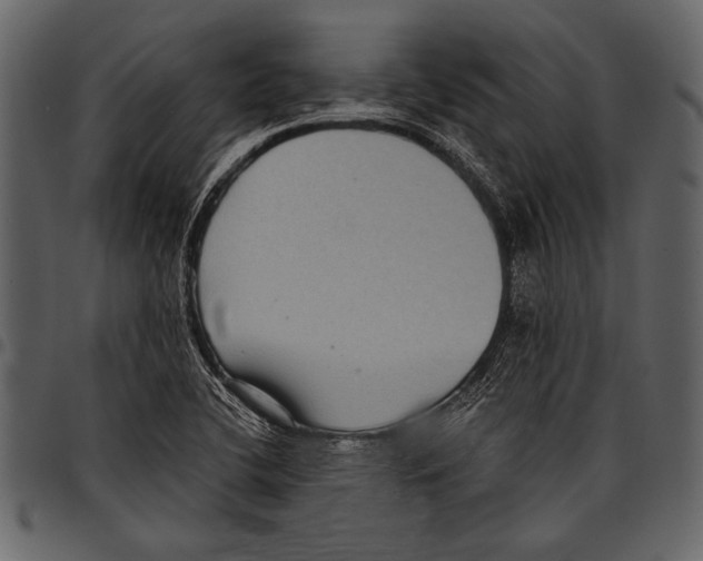 X0000097481412200803201459