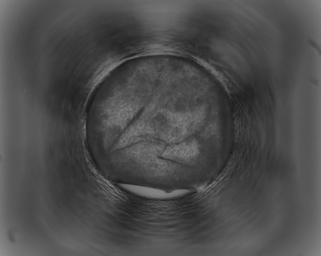 X0000097481415200803201459