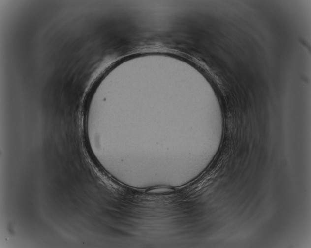 X0000097481416200803201459