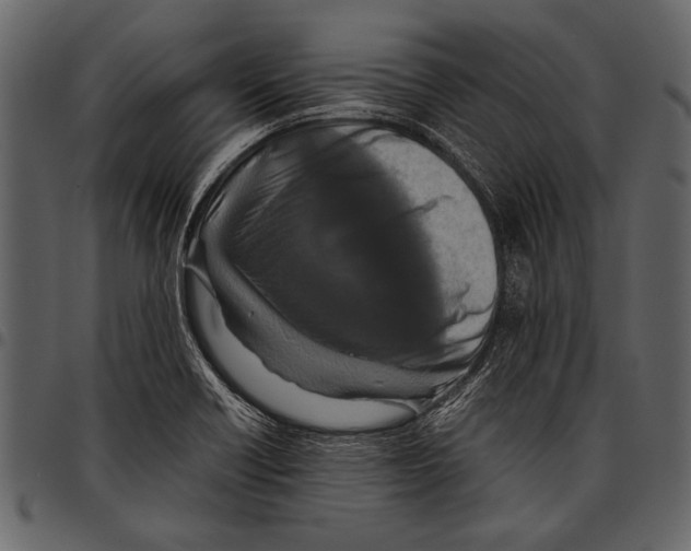 X0000097481418200803201500