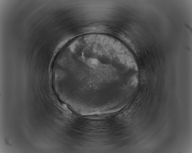 X0000097481419200803201500