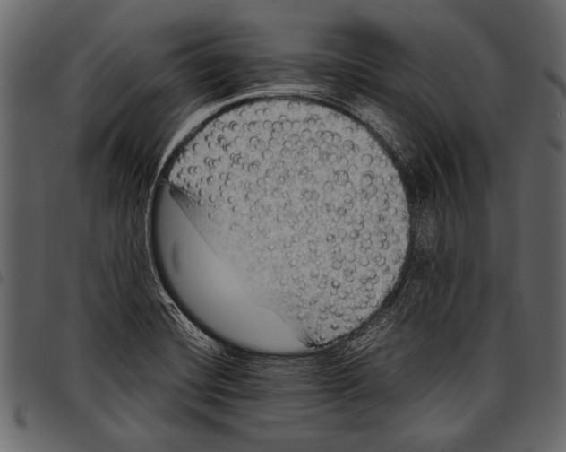 X0000097481420200803201500