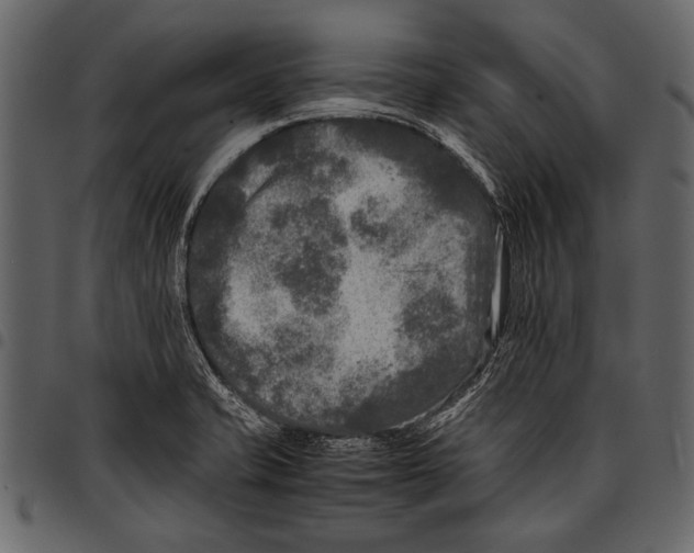 X0000097481421200803201500