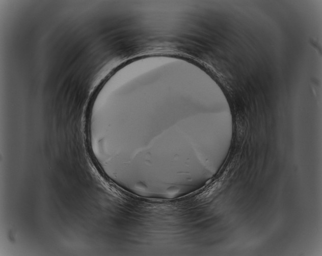 X0000097481422200803201500