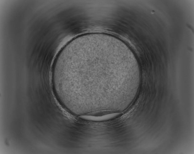 X0000097481424200803201500