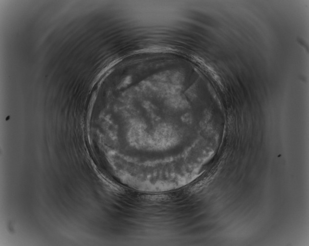 X0000097481425200803201500