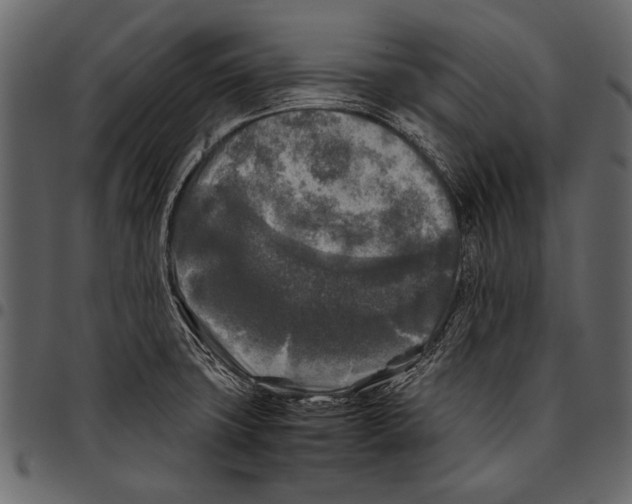 X0000097481427200803201500