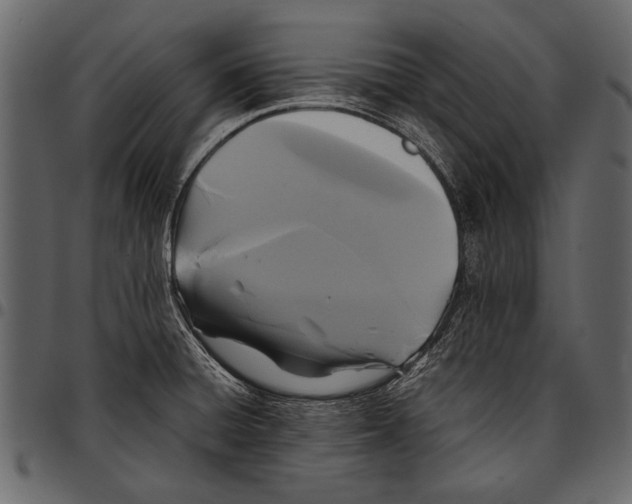 X0000097481428200803201500