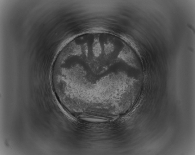 X0000097481429200803201500