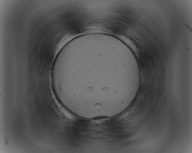 X0000097481431200803201500