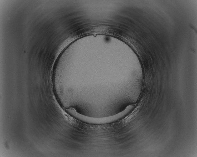 X0000097481434200803201500