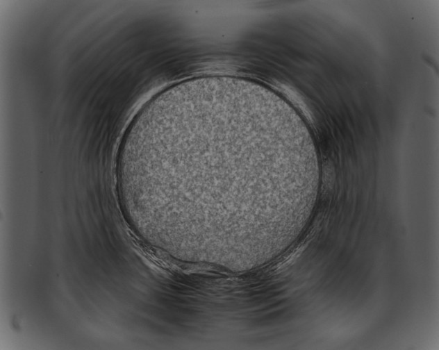 X0000097481435200803201500