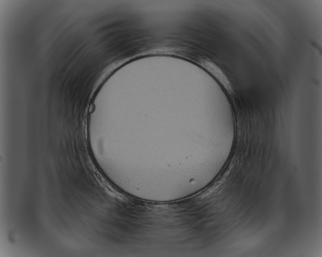 X0000097481436200803201500