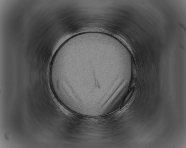 X0000097481438200803201500