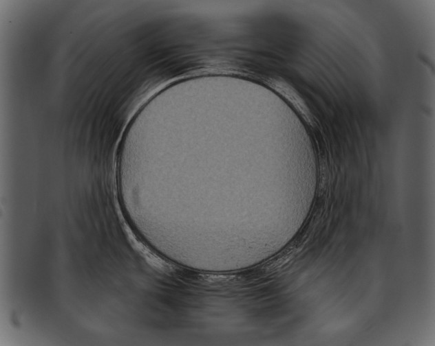 X0000097481439200803201500