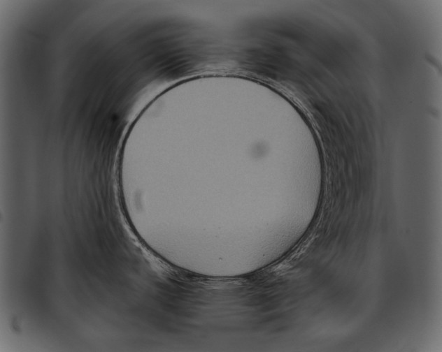 X0000097481440200803201500