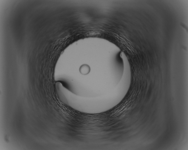 X0000097481441200803201459