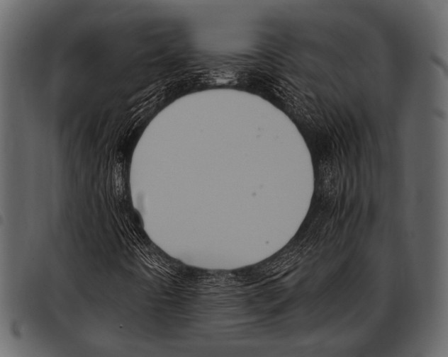 X0000097481442200803201459