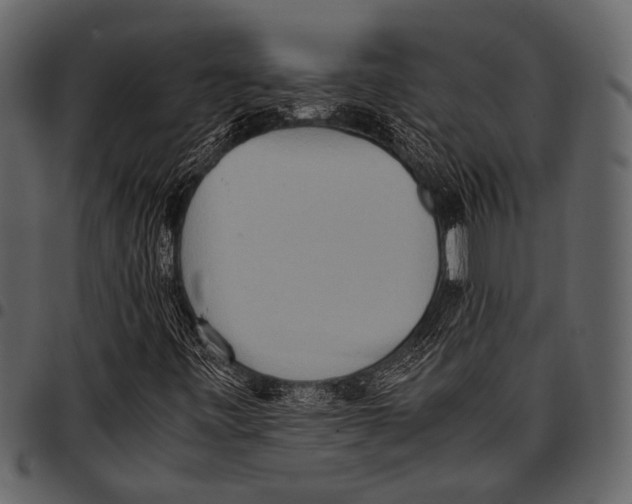 X0000097481443200803201459