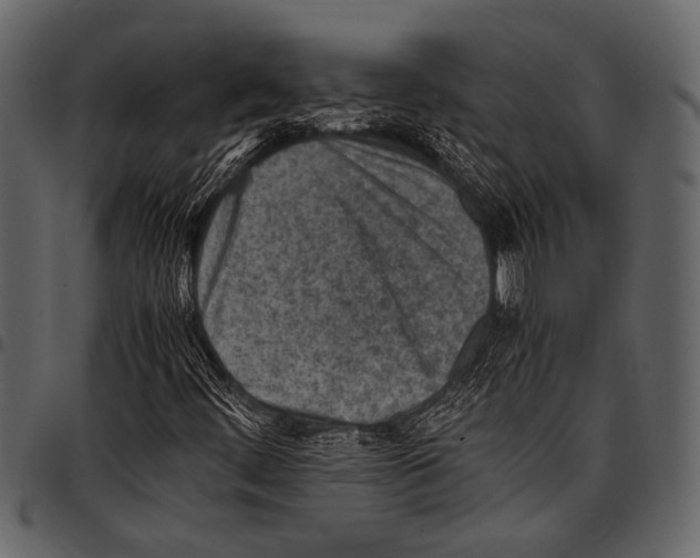 X0000097481444200803201459