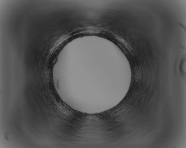 X0000097481448200803201459