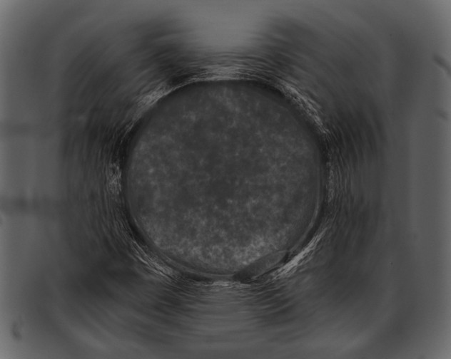 X0000097481449200803201459