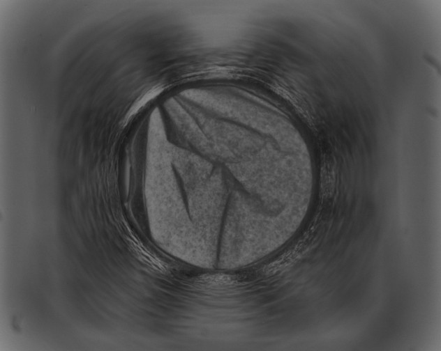 X0000097481450200803201459