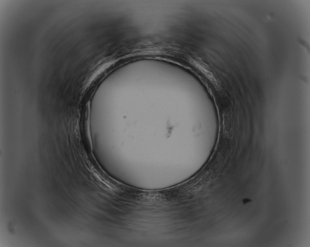 X0000097481452200803201459