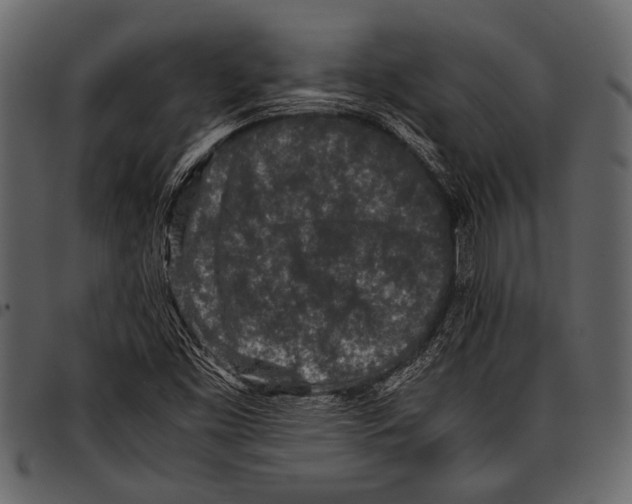 X0000097481453200803201459