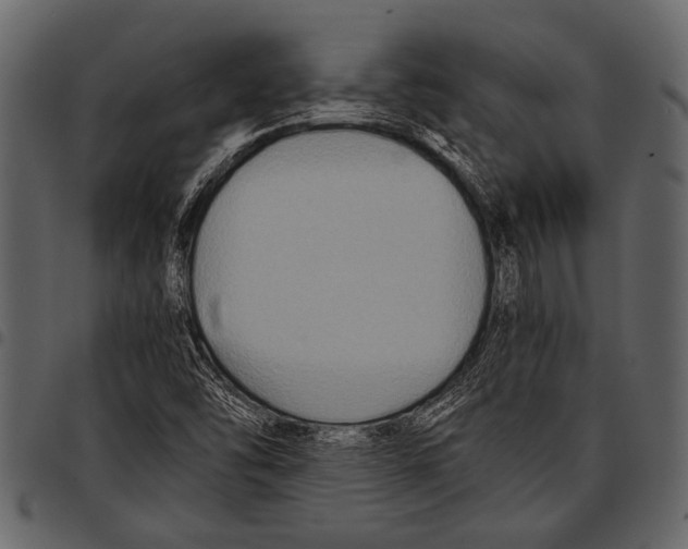 X0000097481454200803201459