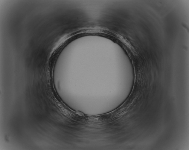 X0000097481456200803201459