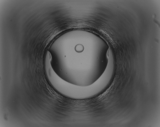 X0000097481457200803201459