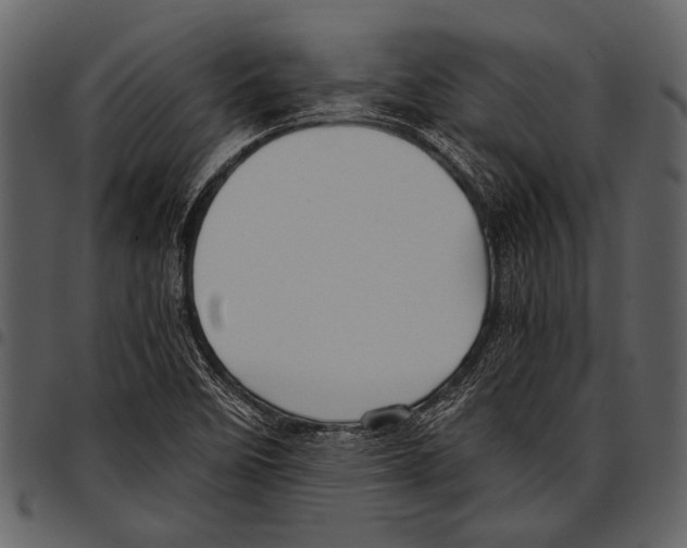 X0000097481458200803201459