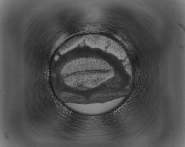 X0000097481459200803201459