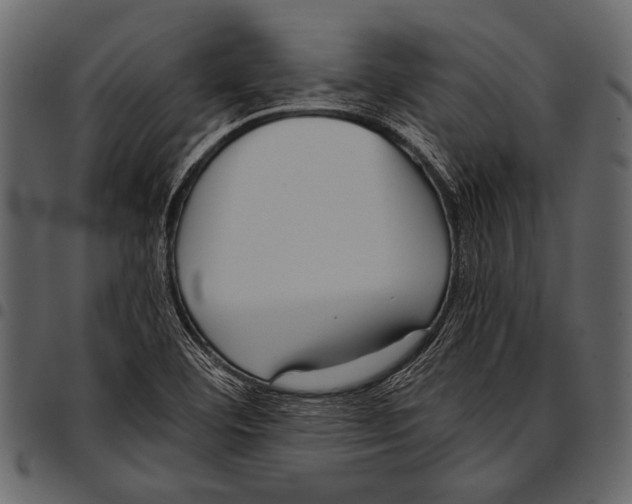 X0000097481460200803201459