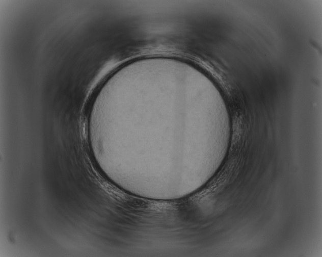 X0000097481462200803201459