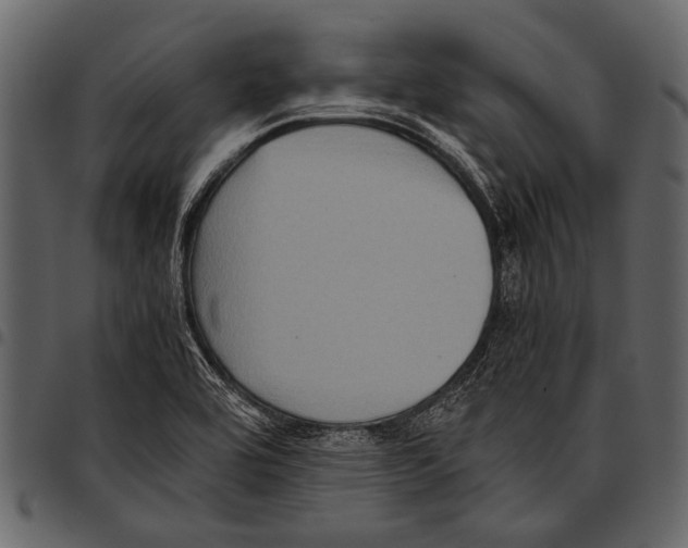 X0000097481464200803201459