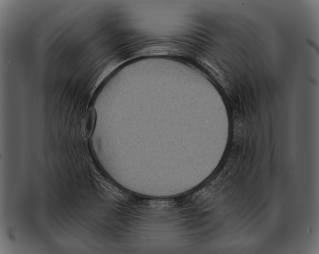 X0000097481465200803201459