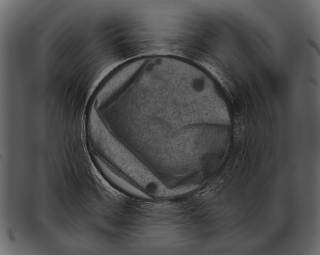 X0000097481468200803201459