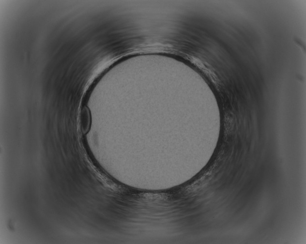 X0000097481469200803201459