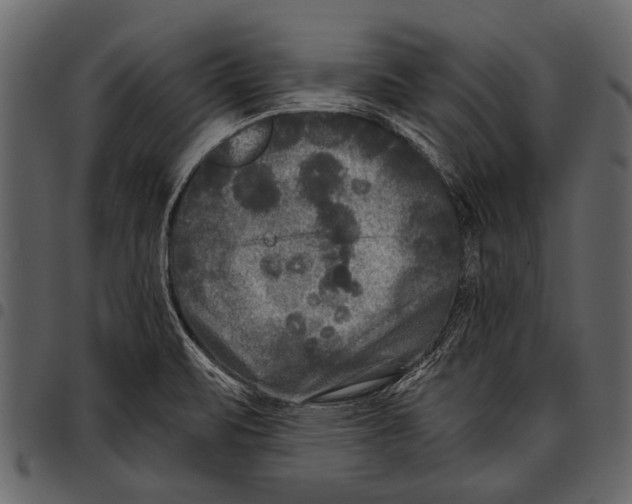 X0000097481471200803201459