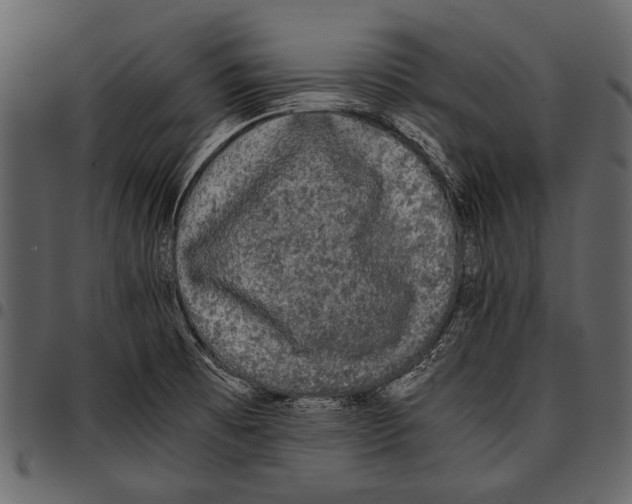 X0000097481473200803201459