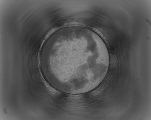 X0000097481474200803201459